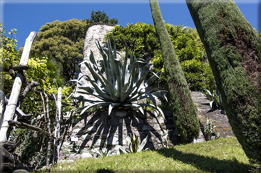 foto Giardini Trauttmansdorff - Giardini del Sole